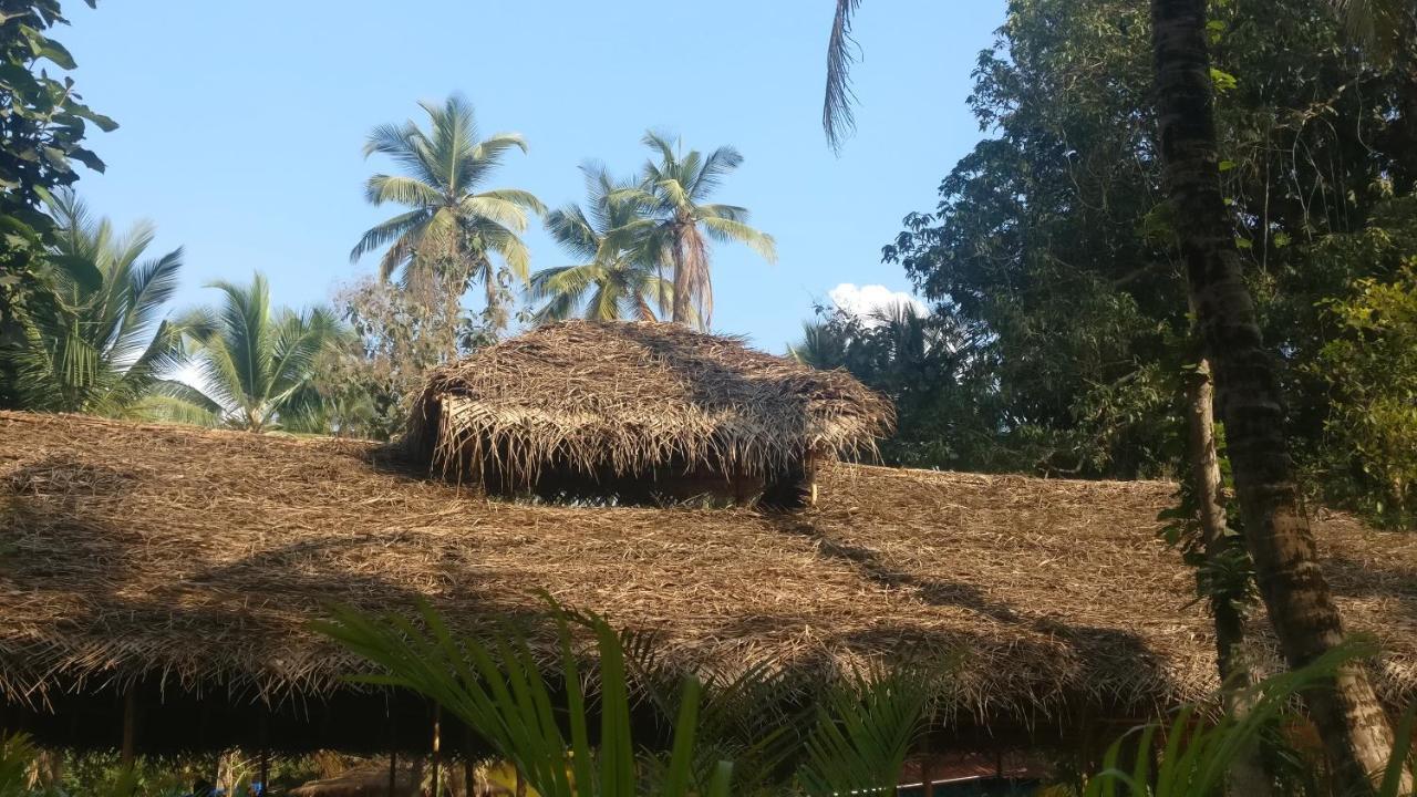 Kings Villa Resort Palolem Εξωτερικό φωτογραφία